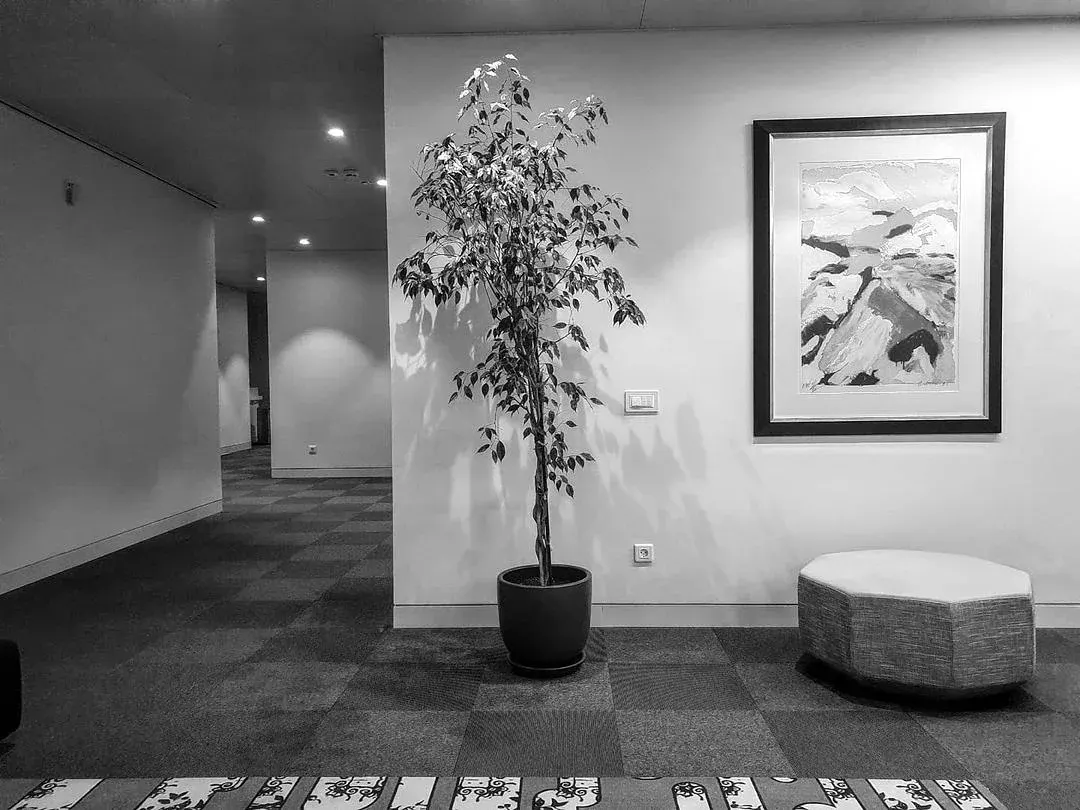 Netherlands Embassy (Confidential)